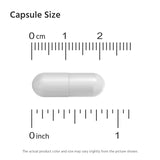 엘 타우린 1000 mg (수퍼사이즈)