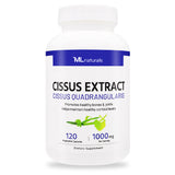 시서스 추출물 1000 mg