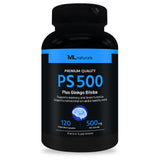 PS 500 (포스파티딜세린 500 mg + 징코빌로바)