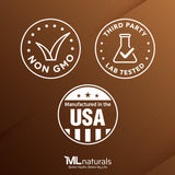 나토키나아제 2000