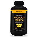 스탠다드 프로폴리스 1200 mg