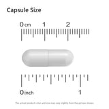 강황 커큐민 1800mg