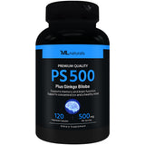 PS 500 (포스파티딜세린 500 mg + 징코빌로바)